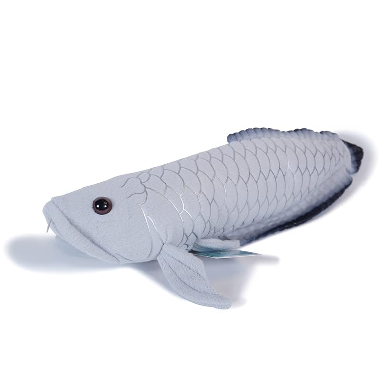 TSTアドバンス わくわく図鑑<淡水> シルバーアロワナ 35cm