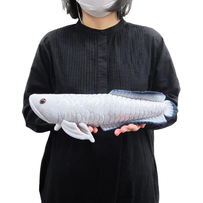 TSTアドバンス わくわく図鑑<淡水> シルバーアロワナ 35cm