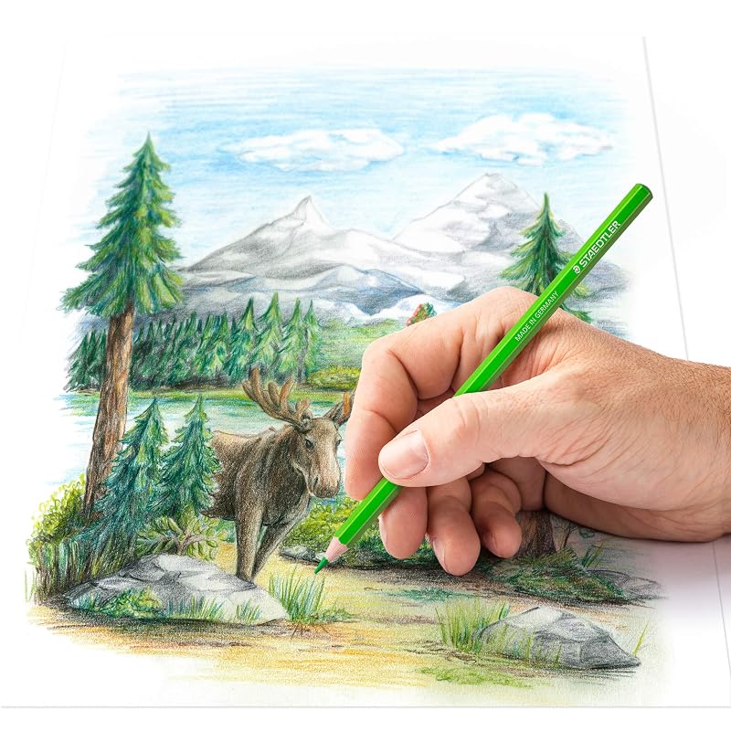 ステッドラー(STAEDTLER) 色鉛筆 72色 油性色鉛筆 デザインジャーニー 146C M72